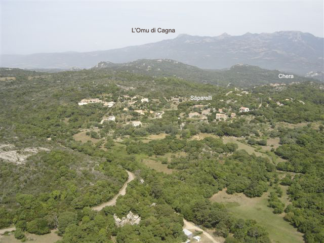 premiere image